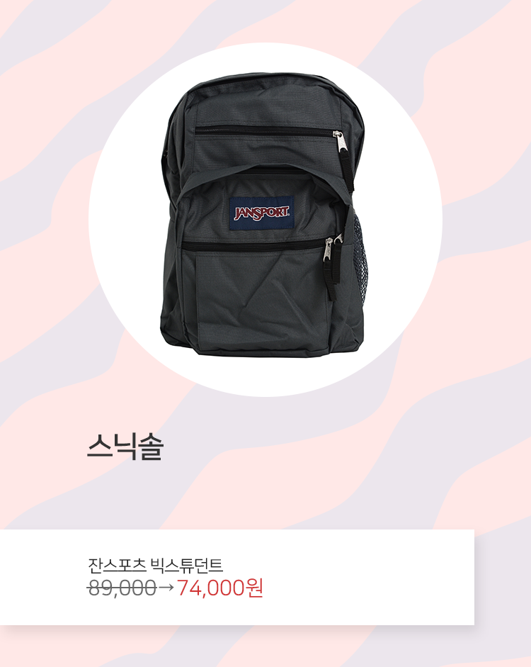 스닉솔